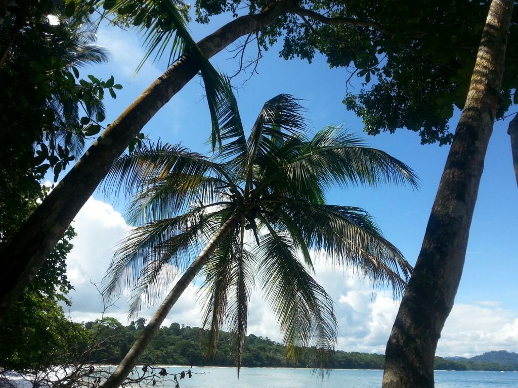 Mar Verde Lodge Puerto Viejo de Talamanca Kültér fotó