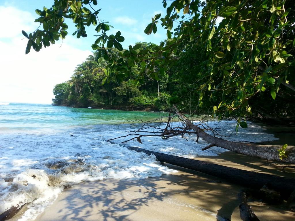 Mar Verde Lodge Puerto Viejo de Talamanca Kültér fotó