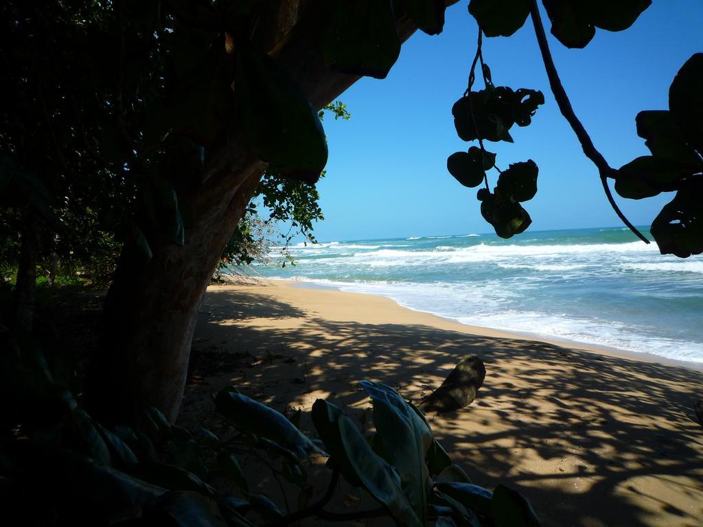 Mar Verde Lodge Puerto Viejo de Talamanca Kültér fotó