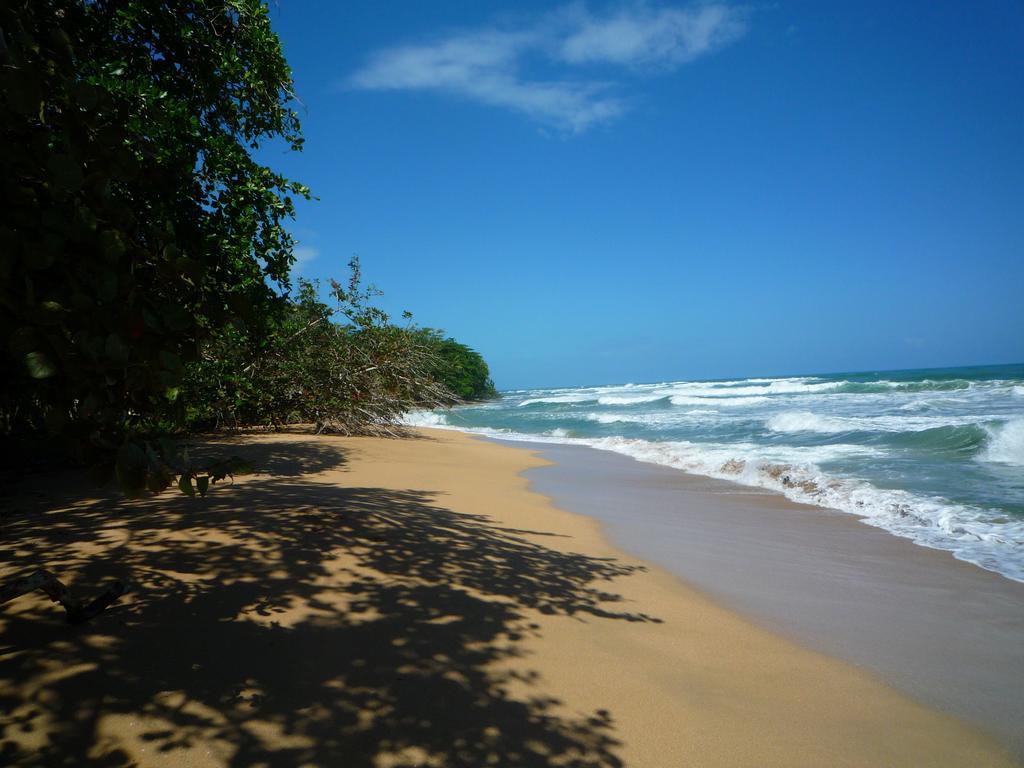 Mar Verde Lodge Puerto Viejo de Talamanca Kültér fotó