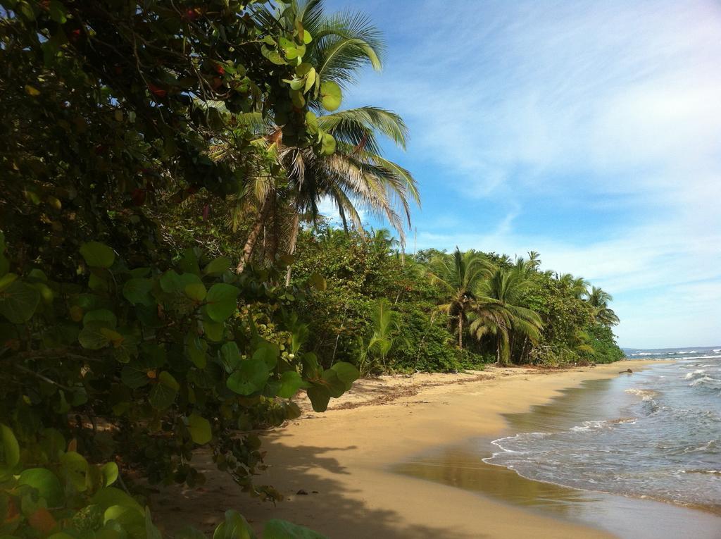 Mar Verde Lodge Puerto Viejo de Talamanca Kültér fotó
