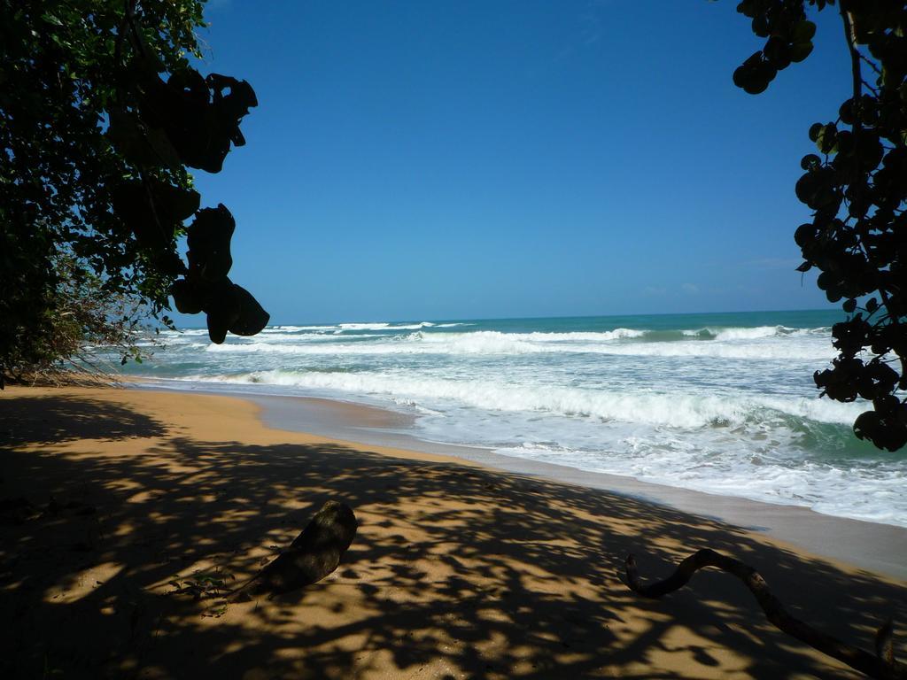 Mar Verde Lodge Puerto Viejo de Talamanca Kültér fotó