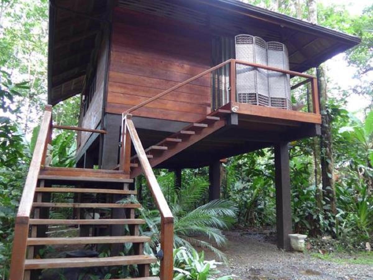 Mar Verde Lodge Puerto Viejo de Talamanca Kültér fotó