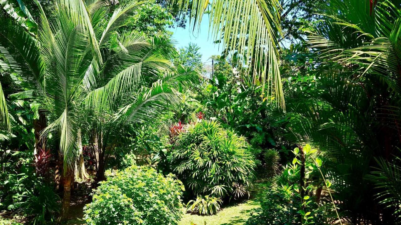 Mar Verde Lodge Puerto Viejo de Talamanca Kültér fotó